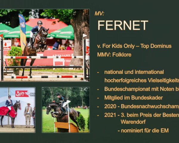 Video von Django