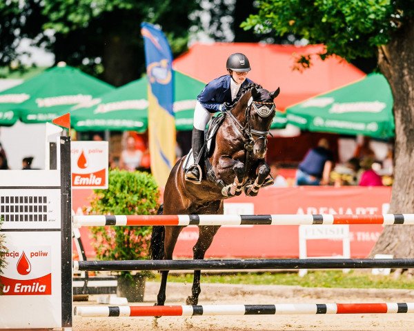 Springpferd Fernet 61 (Deutsches Reitpony, 2008, von For Kids Only)