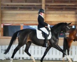 horse Brianna 15 (Hanoverian, 2018, from Bon Coeur)