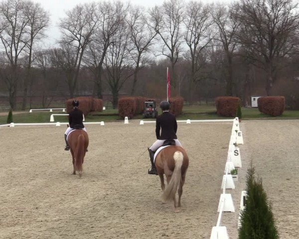 Reitturnier Münster-Handorf | Late Entries 2022