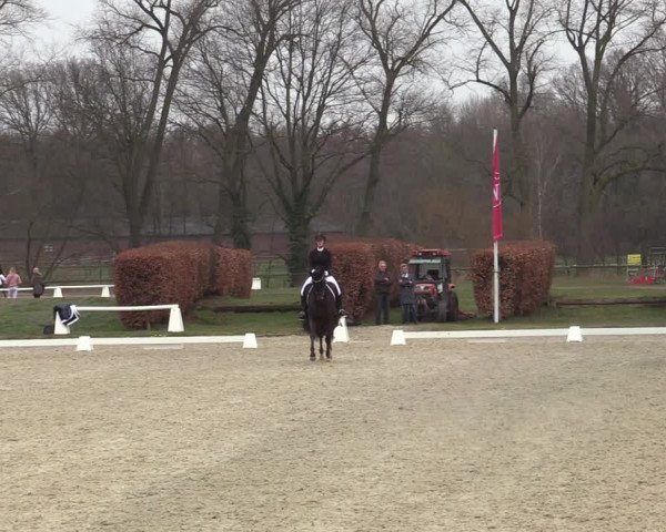 Reitturnier Münster-Handorf | Late Entries 2022