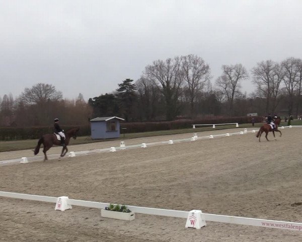 Reitturnier Münster-Handorf | Late Entries 2022