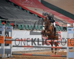 jumper Reve de Soleil (German Riding Pony, 2007, from Seiron)