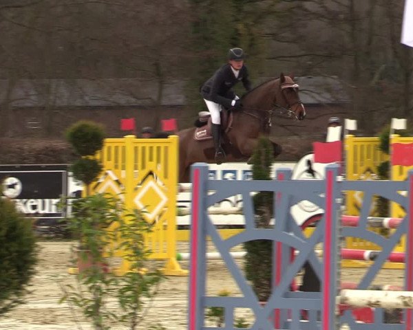 Reitturnier Münster-Handorf | Late Entries 2022