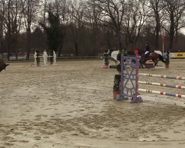 Reitturnier Münster-Handorf | Late Entries 2022
