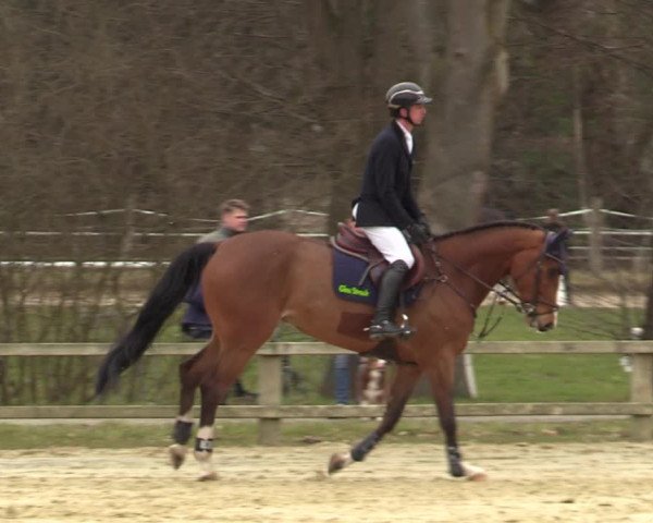 Reitturnier Münster-Handorf | Late Entries 2022