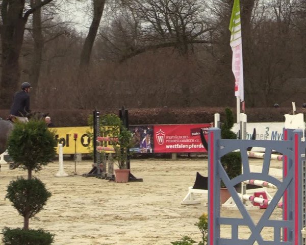 Reitturnier Münster-Handorf | Late Entries 2022