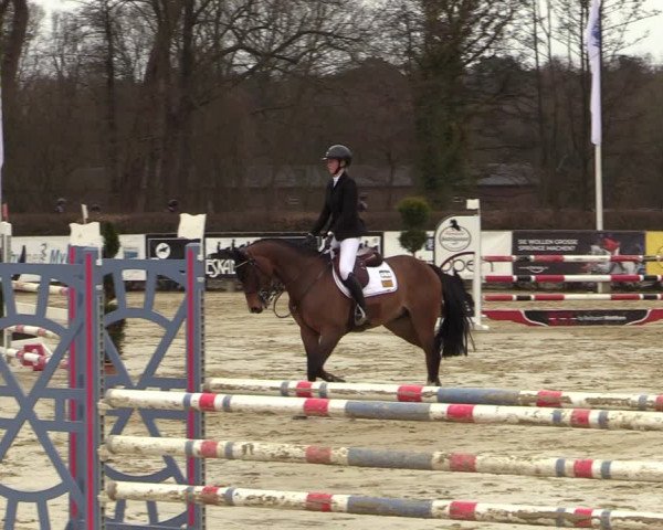 Reitturnier Münster-Handorf | Late Entries 2022