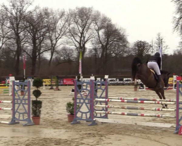 Reitturnier Münster-Handorf | Late Entries 2022