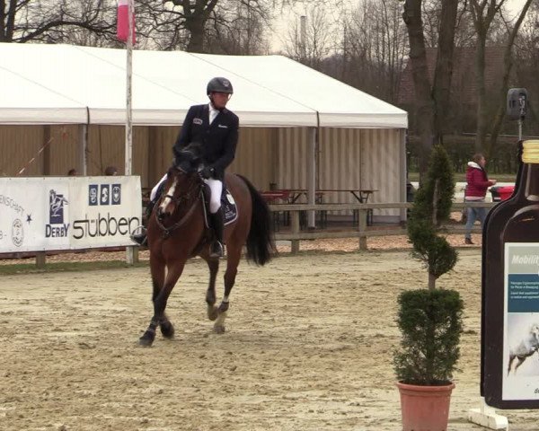 Reitturnier Münster-Handorf | Late Entries 2022