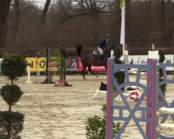 Reitturnier Münster-Handorf | Late Entries 2022
