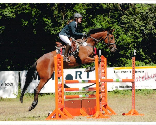 broodmare Amelie Go (German Warmblood, 2008, from Colman)