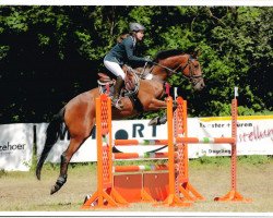 broodmare Amelie Go (German Warmblood, 2008, from Colman)
