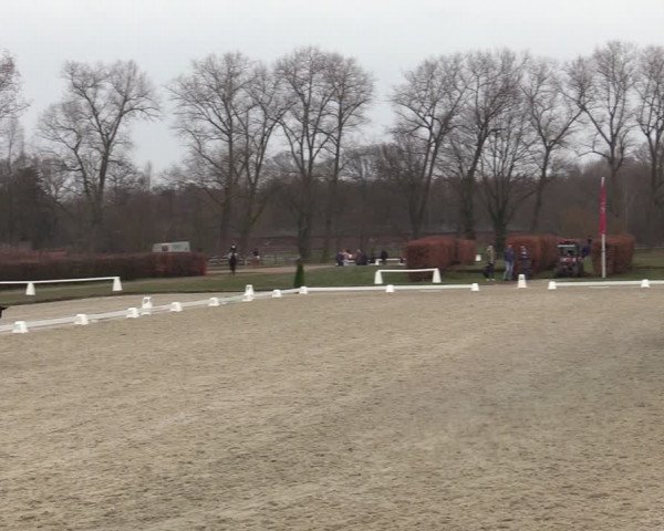Reitturnier Münster-Handorf | Late Entries 2022