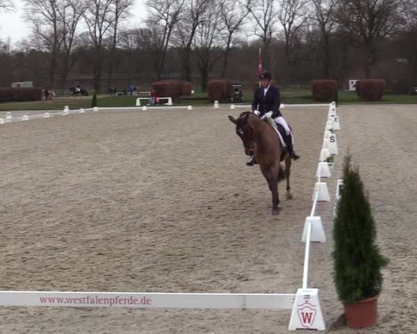 Reitturnier Münster-Handorf | Late Entries 2022