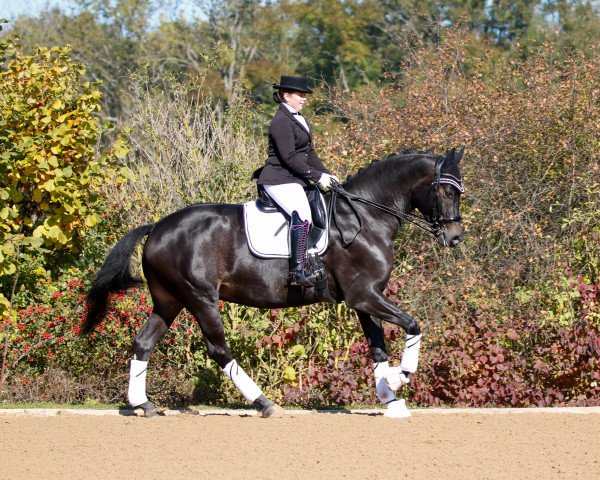 Karina Korndörfer