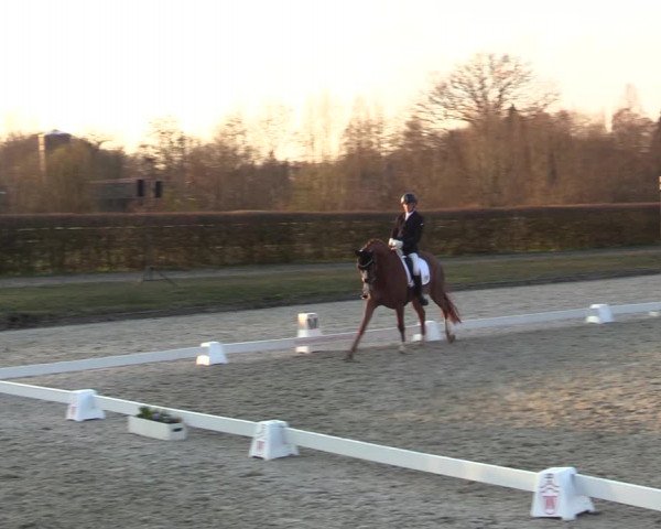 Reitturnier Münster-Handorf | Late Entries 2022