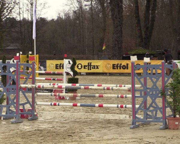 Reitturnier Münster-Handorf | Late Entries 2022