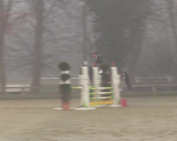 Reitturnier Münster-Handorf | Late Entries 2022