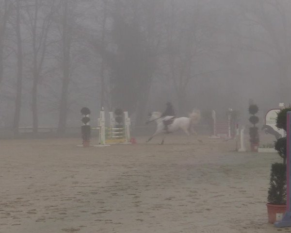 Reitturnier Münster-Handorf | Late Entries 2022