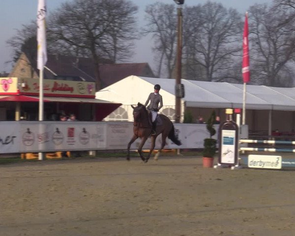 Reitturnier Münster-Handorf | Late Entries 2022