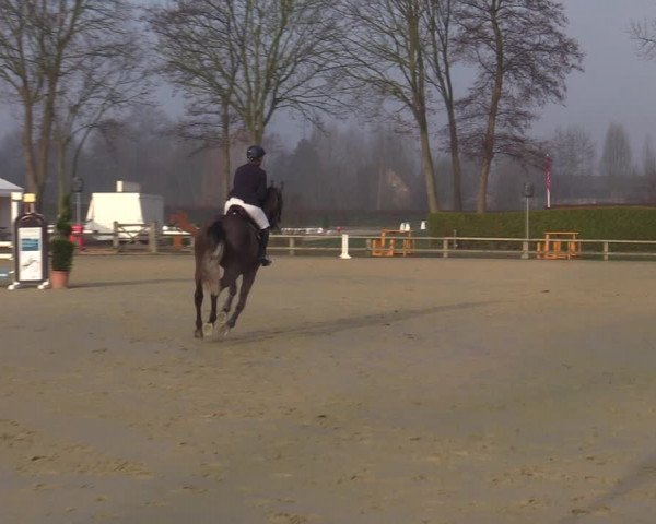 Reitturnier Münster-Handorf | Late Entries 2022