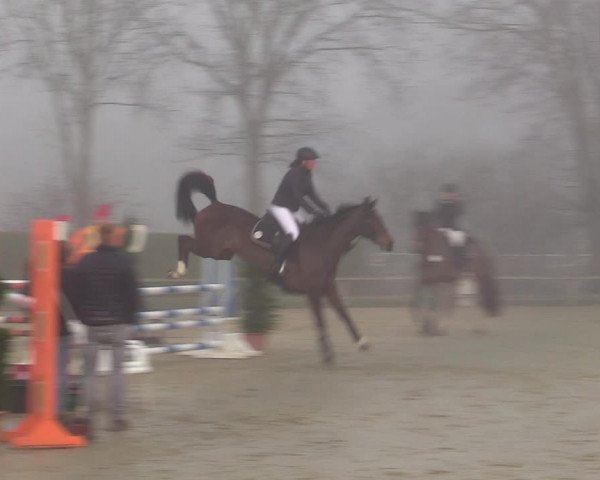 Reitturnier Münster-Handorf | Late Entries 2022