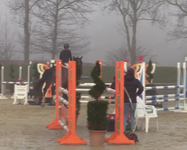 Reitturnier Münster-Handorf | Late Entries 2022