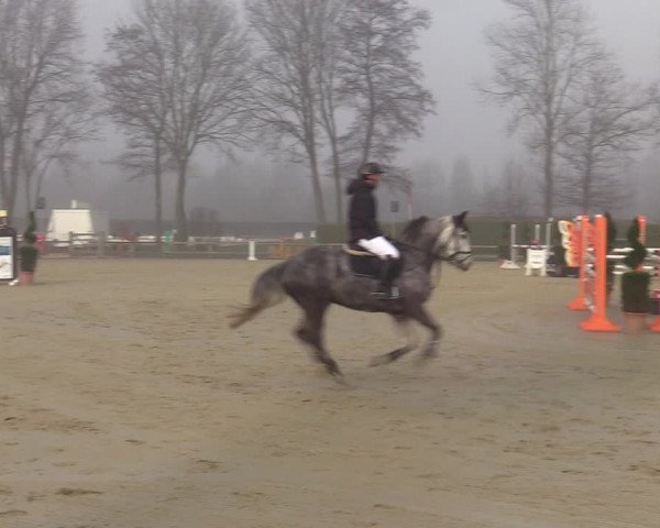 Reitturnier Münster-Handorf | Late Entries 2022