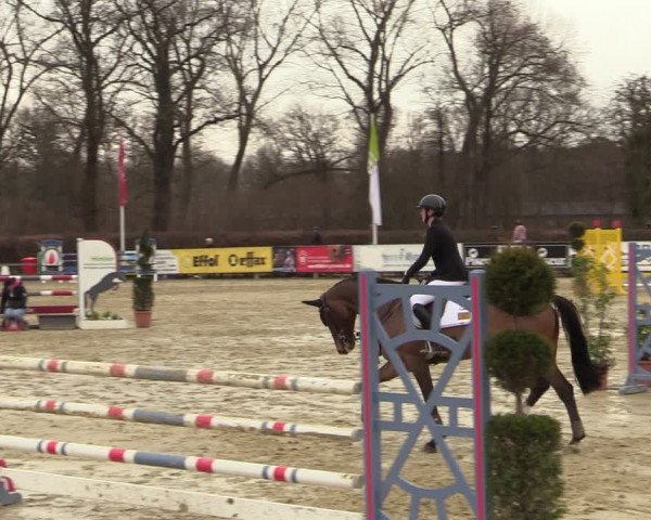 Reitturnier Münster-Handorf | Late Entries 2022