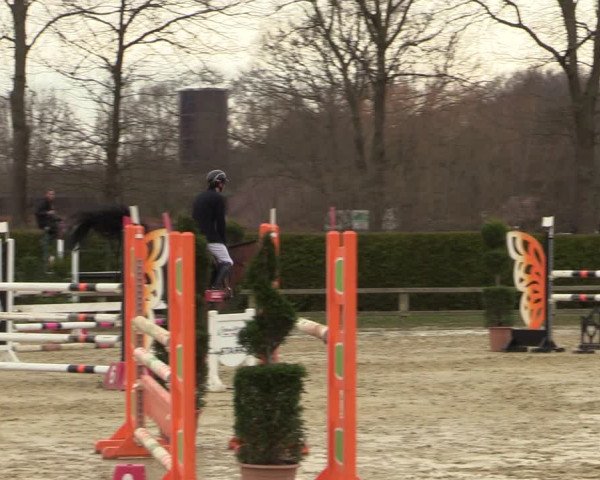 Reitturnier Münster-Handorf | Late Entries 2022