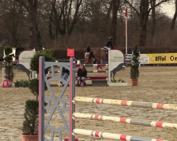 Reitturnier Münster-Handorf | Late Entries 2022