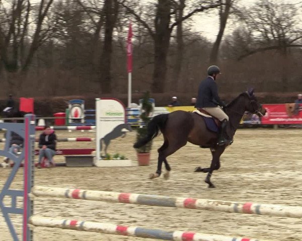Reitturnier Münster-Handorf | Late Entries 2022