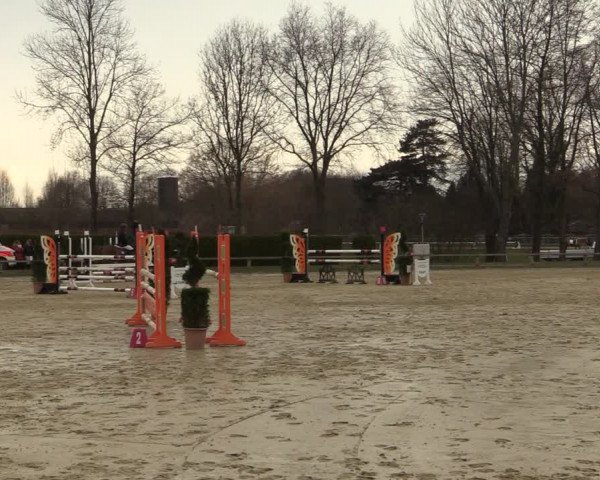 Reitturnier Münster-Handorf | Late Entries 2022