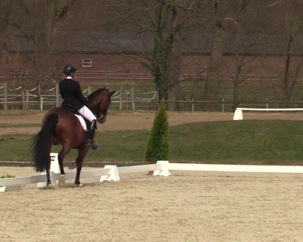 Reitturnier Münster-Handorf | Late Entries 2022