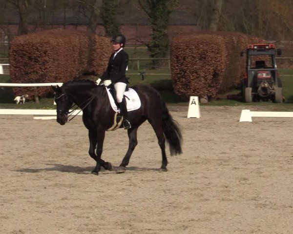 Reitturnier Münster-Handorf | Late Entries 2022