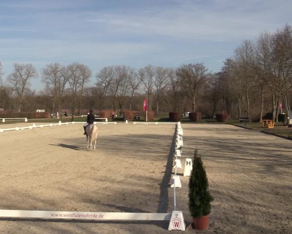Reitturnier Münster-Handorf | Late Entries 2022
