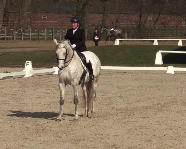 Reitturnier Münster-Handorf | Late Entries 2022