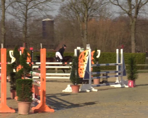 Reitturnier Münster-Handorf | Late Entries 2022