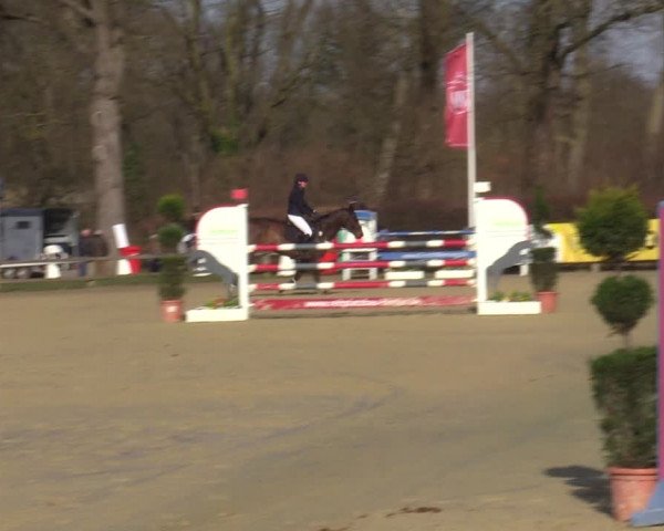 Reitturnier Münster-Handorf | Late Entries 2022