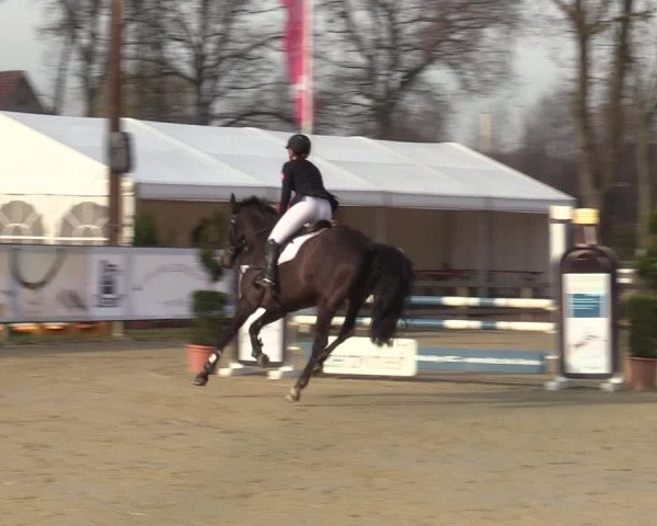 Reitturnier Münster-Handorf | Late Entries 2022
