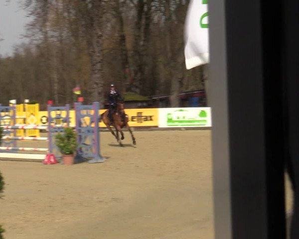 Reitturnier Münster-Handorf | Late Entries 2022