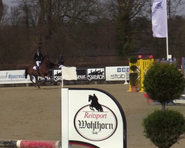 Reitturnier Münster-Handorf | Late Entries 2022