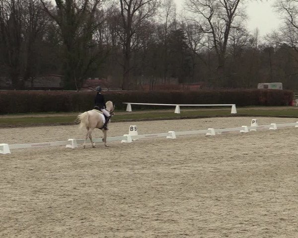 Reitturnier Münster-Handorf | Late Entries 2022