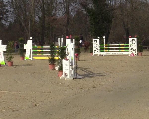 Reitturnier Münster-Handorf | Late Entries 2022