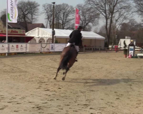 Reitturnier Münster-Handorf | Late Entries 2022