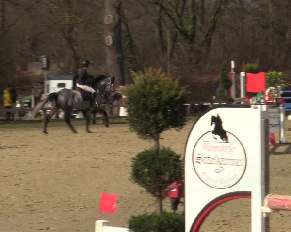 Reitturnier Münster-Handorf | Late Entries 2022