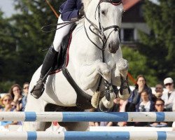 Springpferd Cortez EGE (Holsteiner, 2002, von Corrado I)