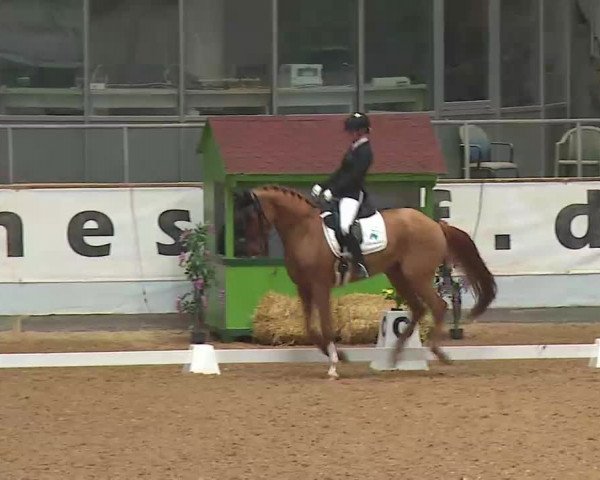Reitturnier Kreuth/Opf. 2022