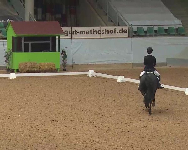 Reitturnier Kreuth/Opf. 2022
